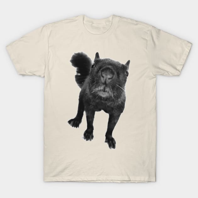 Black Squirrel T-Shirt by Tomoyan